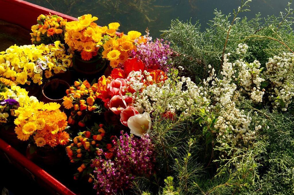 Akbar Group Of Heritage Houseboats Nagin Bagh Εξωτερικό φωτογραφία